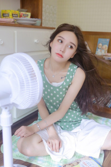 双截龙